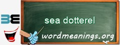 WordMeaning blackboard for sea dotterel